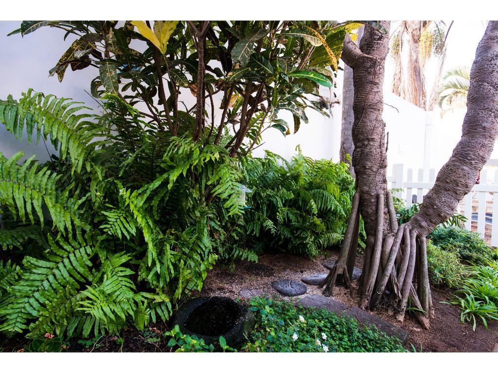 Flamingo Rocks Bed & Breakfast Durban Exterior photo